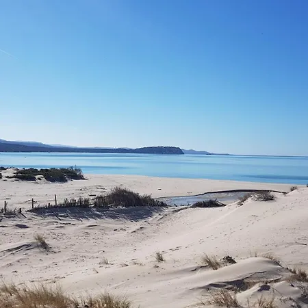 Elicriso サンタ・テレーザ・ガッルーラ