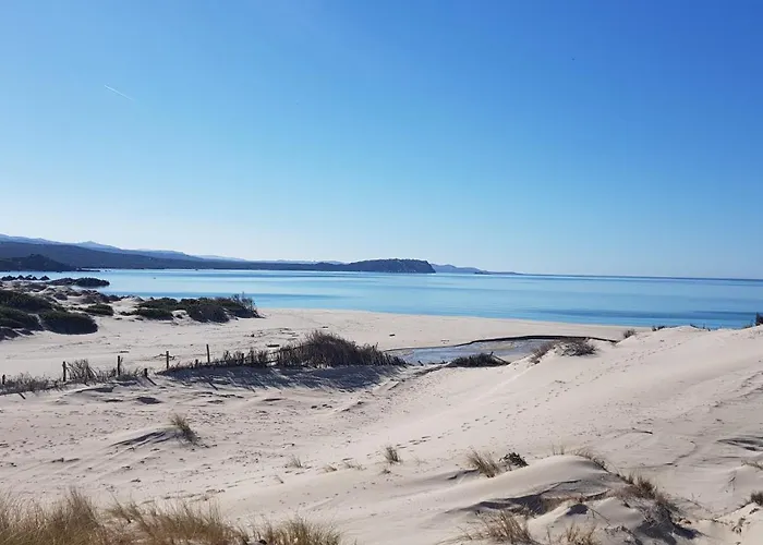 Elicriso Santa Teresa Gallura